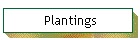 Plantings